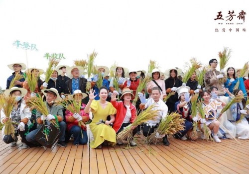 丰了个“秋”!来五芳斋节令直播间领略秋收浪漫
