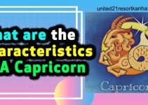 What Are The Characteristics Of A Capricorn